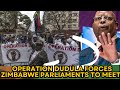 Operation Dudula Forces Zimbabwe Parliament To Explode Over Zimbabweans Denied Healthcare Operation Dudula Forces Zimbabwe Parliament To Explode Over Zimbabweans Denied Healthcare