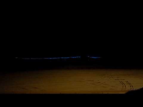 Carlsbad Tamarack Bio-luminescence