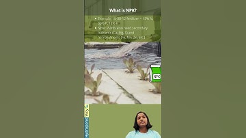 Fueling Growth from the Roots Up 🌾 #hydroponicway #hydroponics #shorts #quiz #quiztime #gardening