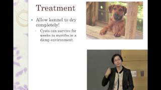 Giardia: For Shelter Staff and Volunteers - full video - conference recording