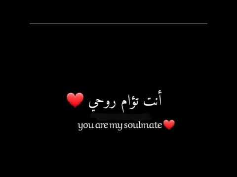 حبيتك وعشت بهواك أحلى أيامي بصوت وائل الشامي