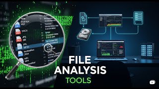 Celebrity File analysis tools Net Worth