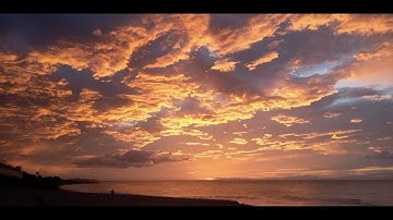 【小田原の浜から】ファイル-0005 「森の中で ～in the woodland～」at Odawara Beach on Sept. 14,2025