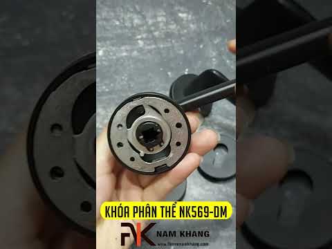 Kh&oacute;a Cửa Ph&acirc;n Thể M&agrave;u Đen Mờ NK569-DM