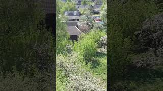 #весна #природныепейзажи