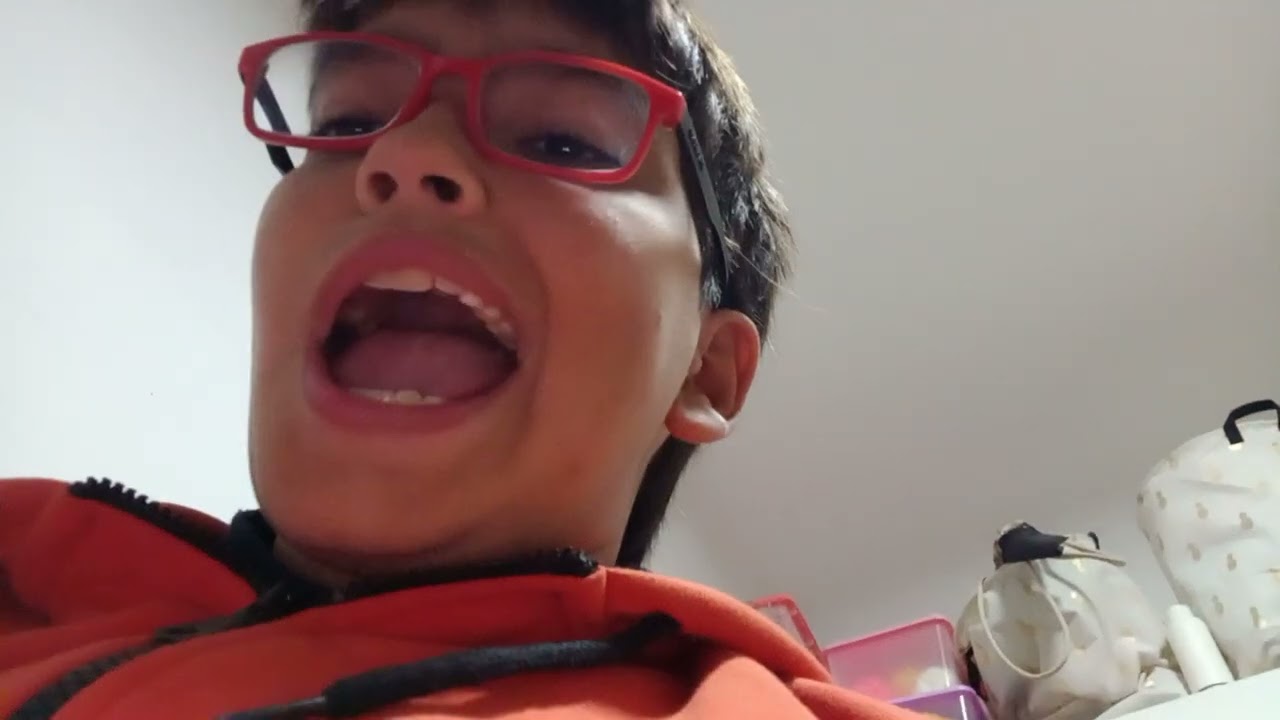 .MEGA MEL VS MEGA DAVE.