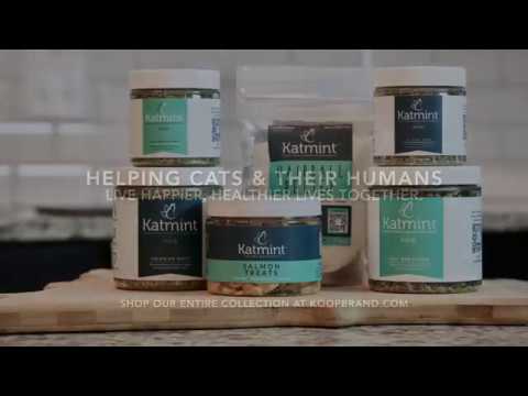 Video: Катминт өсүмдүктөрүнүн шериктери – Catmint менен иштеген өсүмдүктөр жөнүндө билип алыңыз
