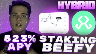 Stake HYBRID – Start Staking and Ride the Bull Market with 523% Returns!
