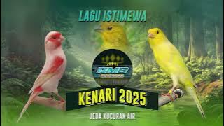 MASTERAN KENARI 2025 ISIAN MEWAH LAGU ISTIMEWA #masteranburung #masterankenarigacor #kenarigacor