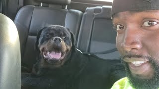 Off To Lowes With GOLIATH