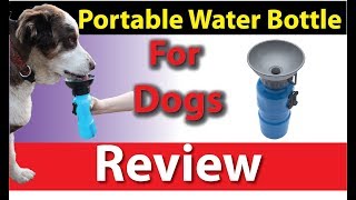 HIGHWAVE AutoDogMug - Portable Water Bottle For Dogs Review - -Pickatop