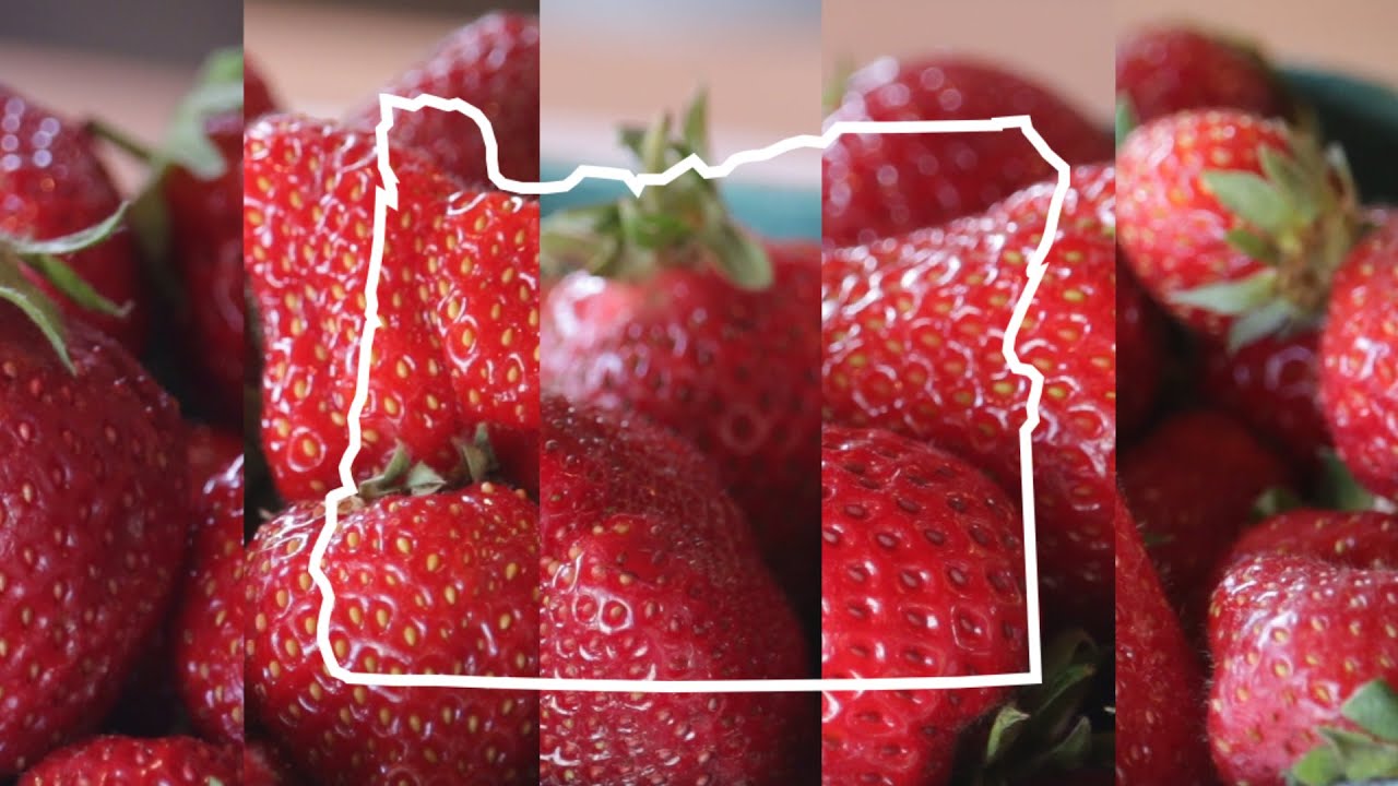 5 types of Oregongrown strawberries Taste Test YouTube
