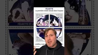 The First Cat In Space