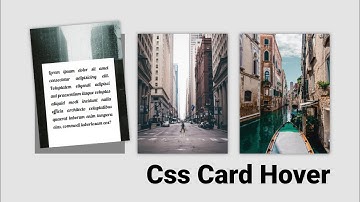 CSS Card Hover Effect | CSS Transform | HTML5, CSS3 | Techy programmers