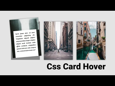 CSS Card Hover Effect | CSS Transform | HTML5, CSS3 | Techy programmers