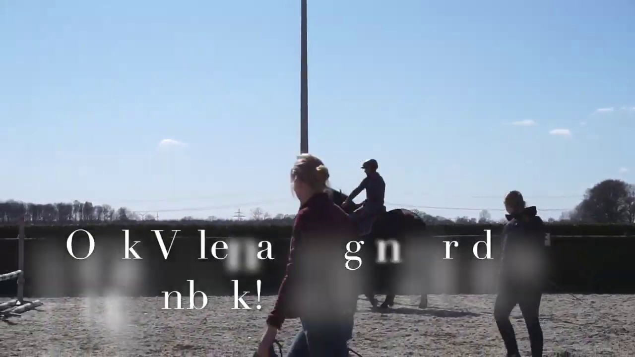 Springt Malibu uit de bak?! | vlog 6