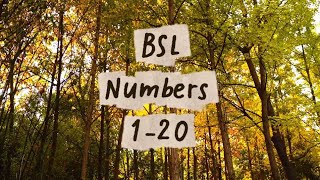 BSL Numbers 1-20 (left handed sign)