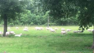IMG 1820