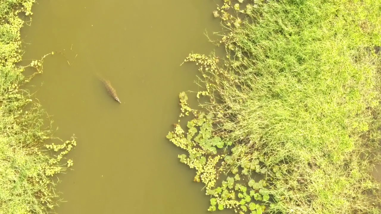 Dumela Wilderness Safaris, Pafuri, Moçambique