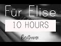 10 HOURS OF Beethoven - Für Elise: Study, Focus, Sleep, Calm, Relax, Piano