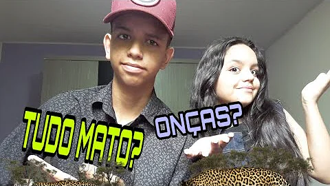 O que tem de bom em Ji-paraná?