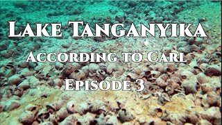 Lake Tanganyika According to Carl, episode 3