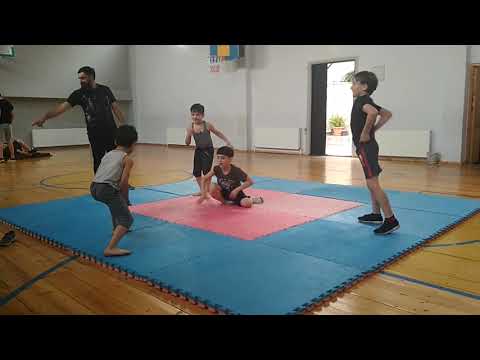 ქართული ხალხური თამაში ,,ციხის აღება''