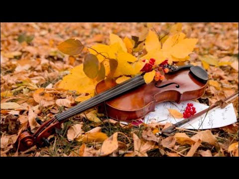Видео: Скрипка музыка души -Автор Эдгар Туниянц.