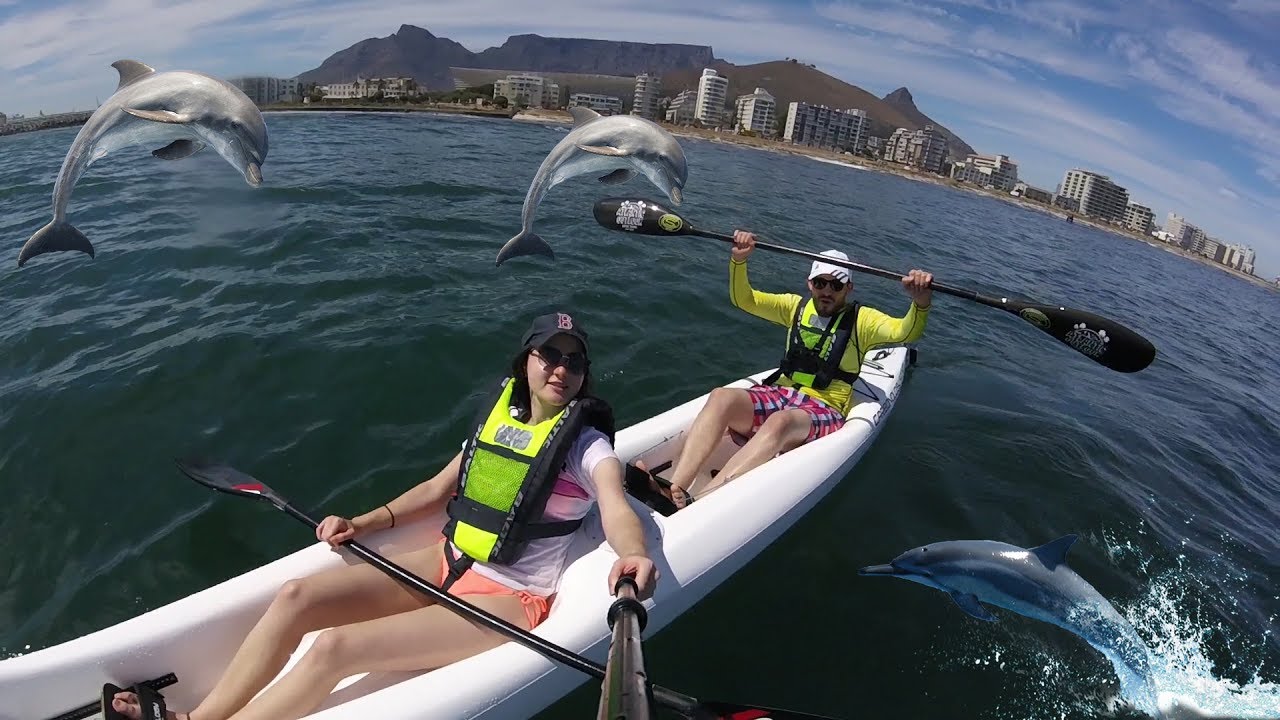 Kayaking with dolphins in Cape Town YouTube