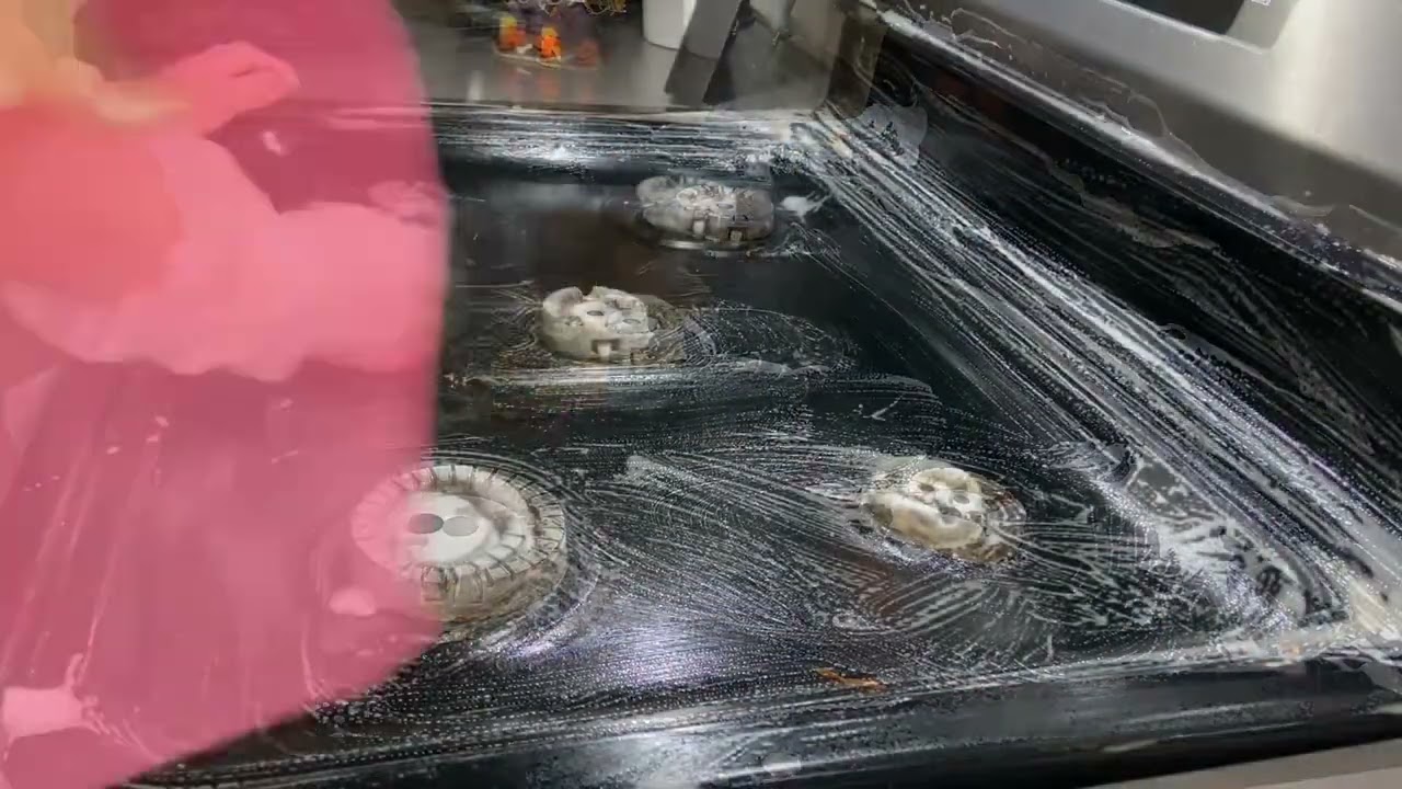 Limpieza profunda de Estufa 😀