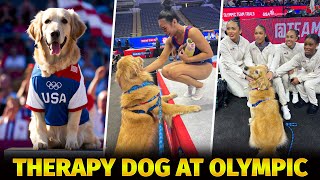 Olympic 2024: Beacon, the US Trending Therapy Dog