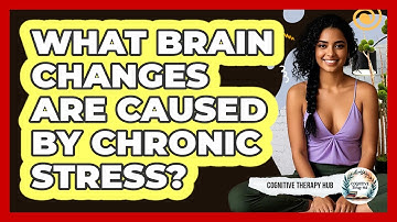 What Brain Changes Are Caused By Chronic Stress? - Cognitive Therapy Hub