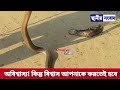অবিশ্বাস্য! কিন্তু বিশ্বাস আপনাকে করতেই হবে|| অস্ফুটে বলবেন না তো, এও কি হয়? দেখতে থাকুন...