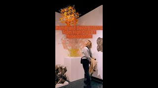 Harriet And David Brisson From High Craft To Hypergraphics - Installation Montage