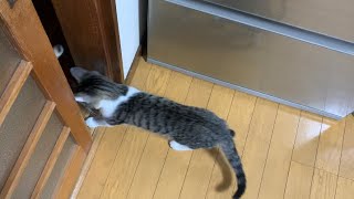 ダーの大冒険　さあ　冒険の始まりだ