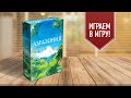 АМАЗОНИЯ: создай свой тропический лес | Играем в настольную игру!