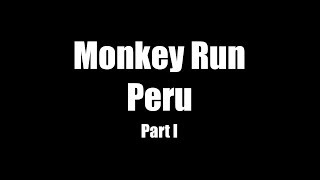 Monkey Run Peru Part 1