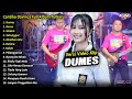 Cantika Davinca Full Album || Dumes, Nemu, Cantika Davinca Full Album Terbaru 2024 - AGENG MUSIC