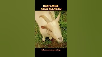 Jangan Berisik