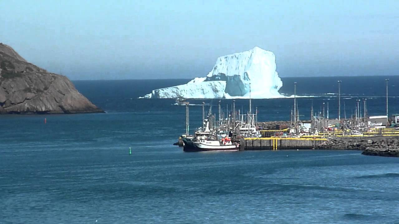 Iceberg outside St. John's Harbour YouTube