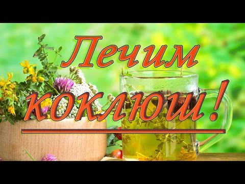 Лечение коклюша народными средствами