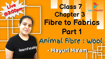 Class 7 Fibre to Fabrics Part 1:  Animal Fibre - Wool - Mayuri Ma