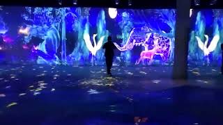 DefiLabs interactive floor/wall projection system support lidar and camera