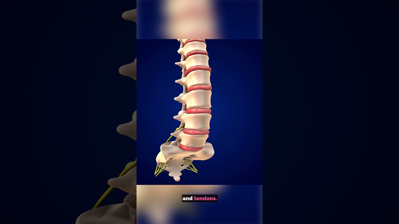 Gelatin: Vegan Product or Not?