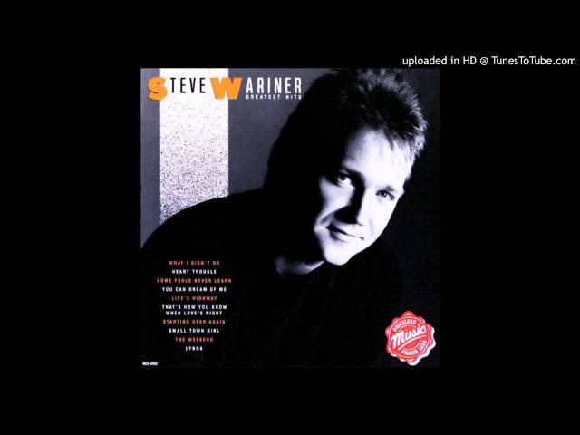 STEVE WARINER - HEART TROUBLE