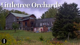 Ithaca Apple Fest strengthens local farms