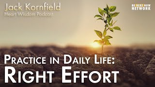 Jack Kornfield on Practice in Daily Life: Right Effort - Heart Wisdom Ep. 164