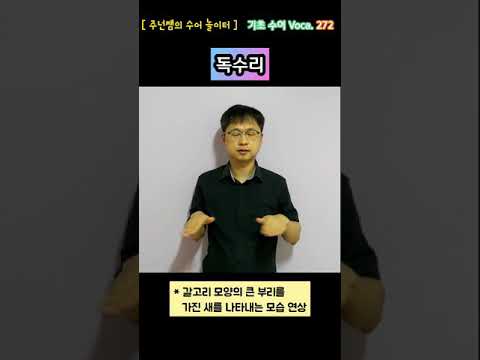 [ 기초 수어 Voca ] 272. 독수리 - 수화배우기 [주넌쌤의 수어놀이터]