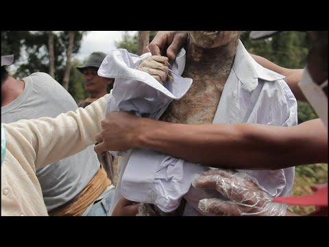 Vídeo: Toraja, Indonésia: o que saber antes de ir