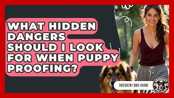 What Hidden Dangers Should I Look For When Puppy Proofing? - Obedient Dog Guide